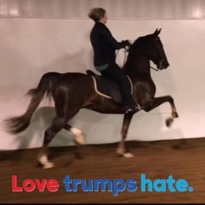 Meet your Posher, Candy